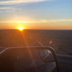 Meet your Posher, Claudia